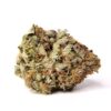 Dutch Treat AAA