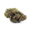 Purple Urkle AAA