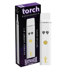 RAINBOW SHERBERT #11 X ZKITTLEZ MINTS | 4G