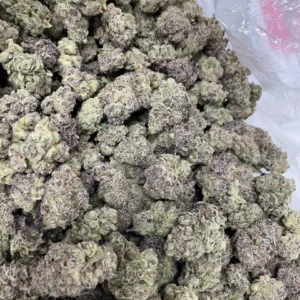 Jealousy Runtz Strain